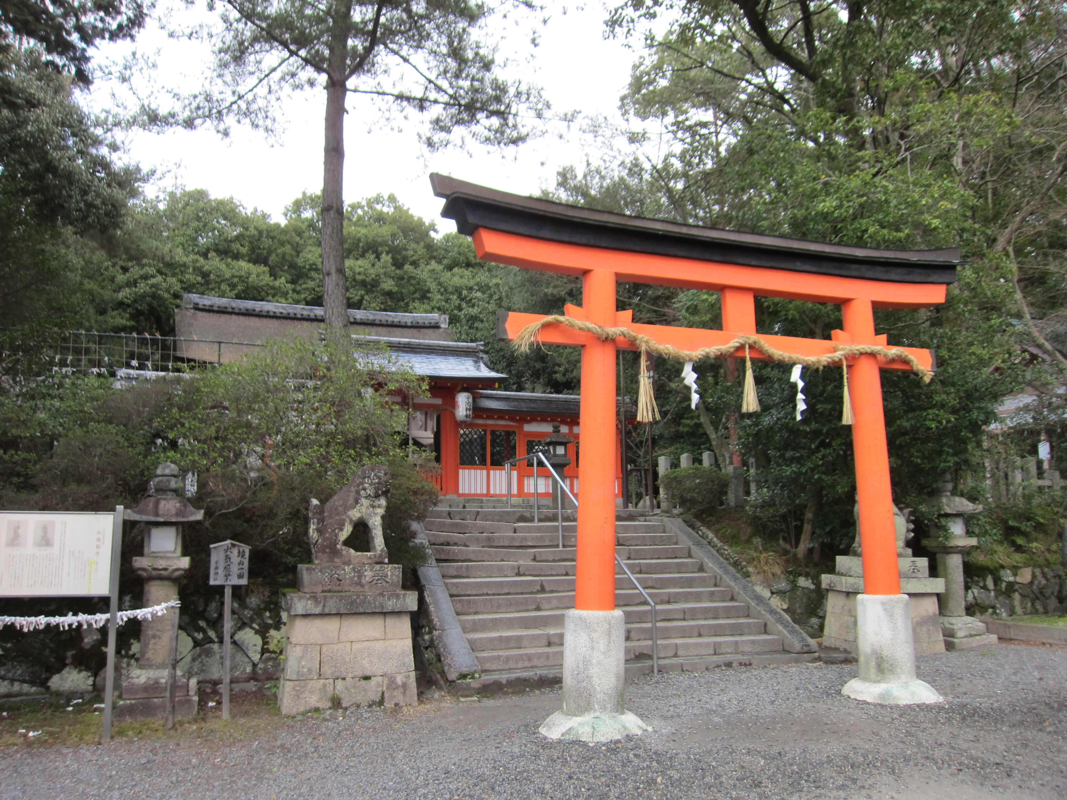 氏神さまを訪ねる参道の鳥居（宇治神社）