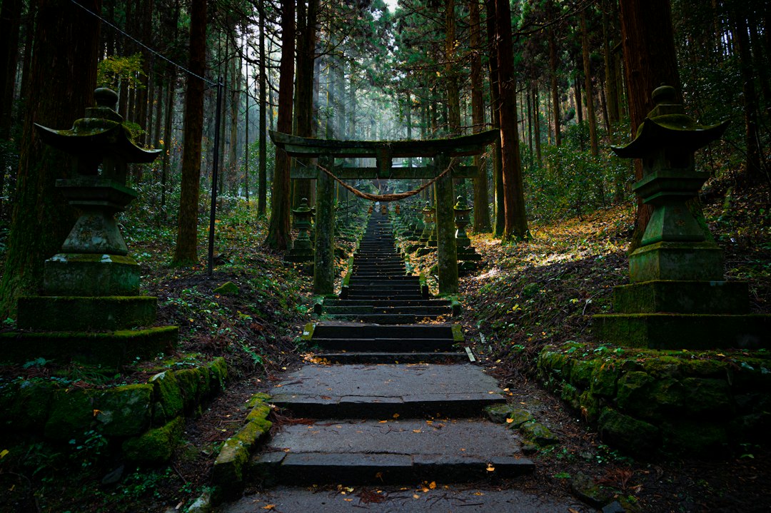日本の寺社の境内