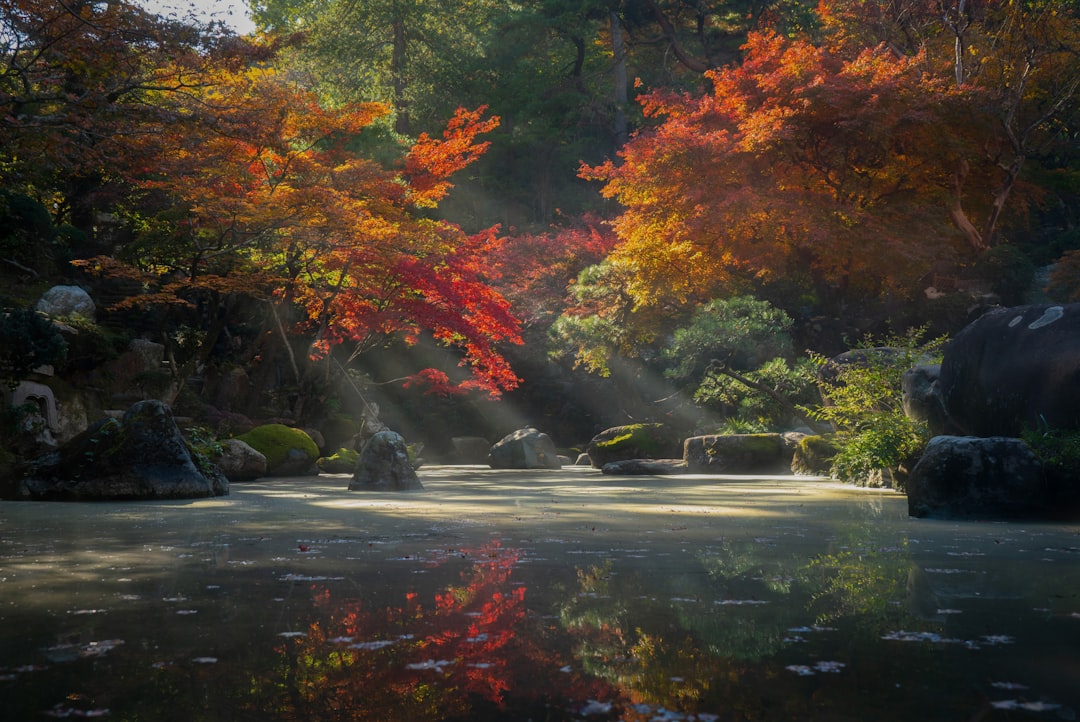 秋の日本庭園